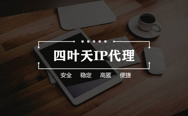 【黔东南代理IP】如何快速搭建代理IP？怎么检查代理的效果？